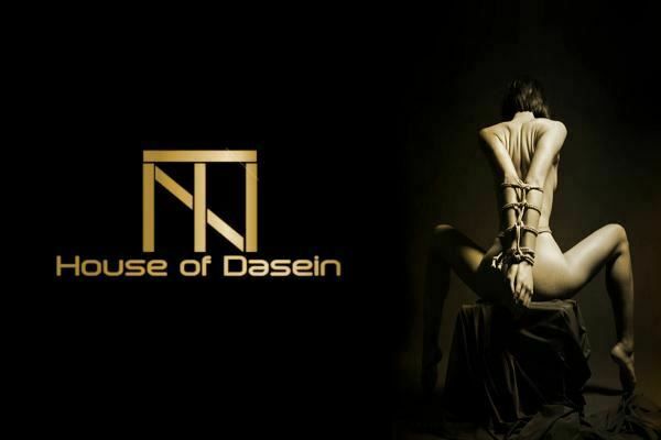 House Of Dasein Stainless Steel Bondage Frame Torture Device Leather Bdsm With Dildo Sex Furniture - Red