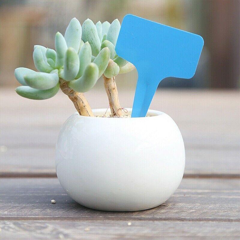T-Type Plant Labels Flexible Plastic Garden Tags Nursey Seeding Marker Pen White - Red