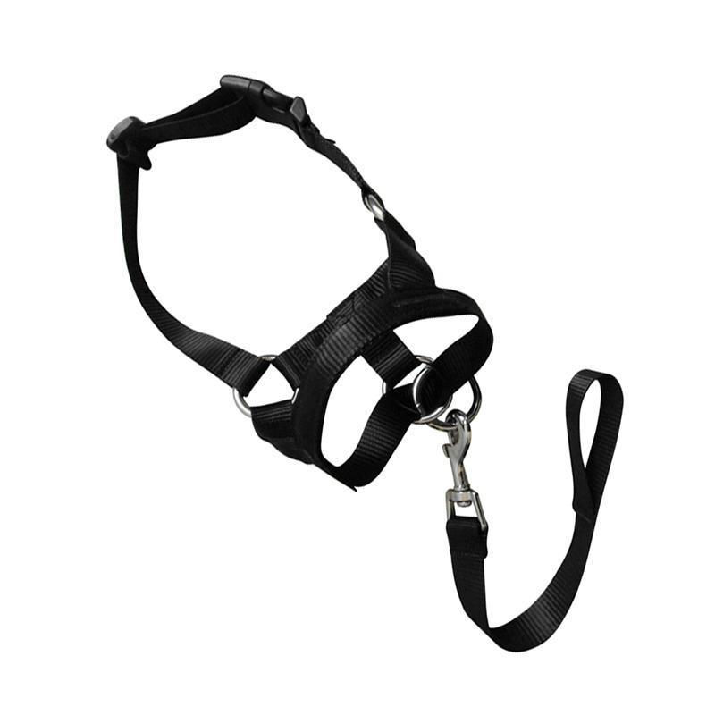 Black Dog Training Head Collar Halter Stop Pulling Training Tool Harness Strap Leader - M