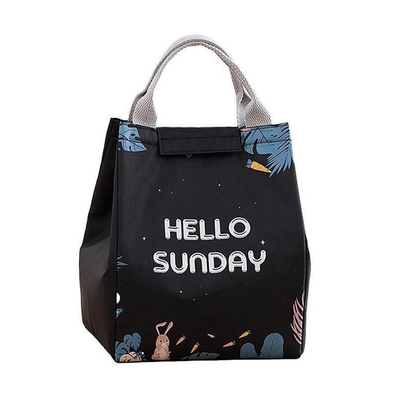 Portable Insulated Thermal Lunch Box Carry Tote Picnic Case Storage Bag 18x24x15cm - E01 (18x24x15cm)